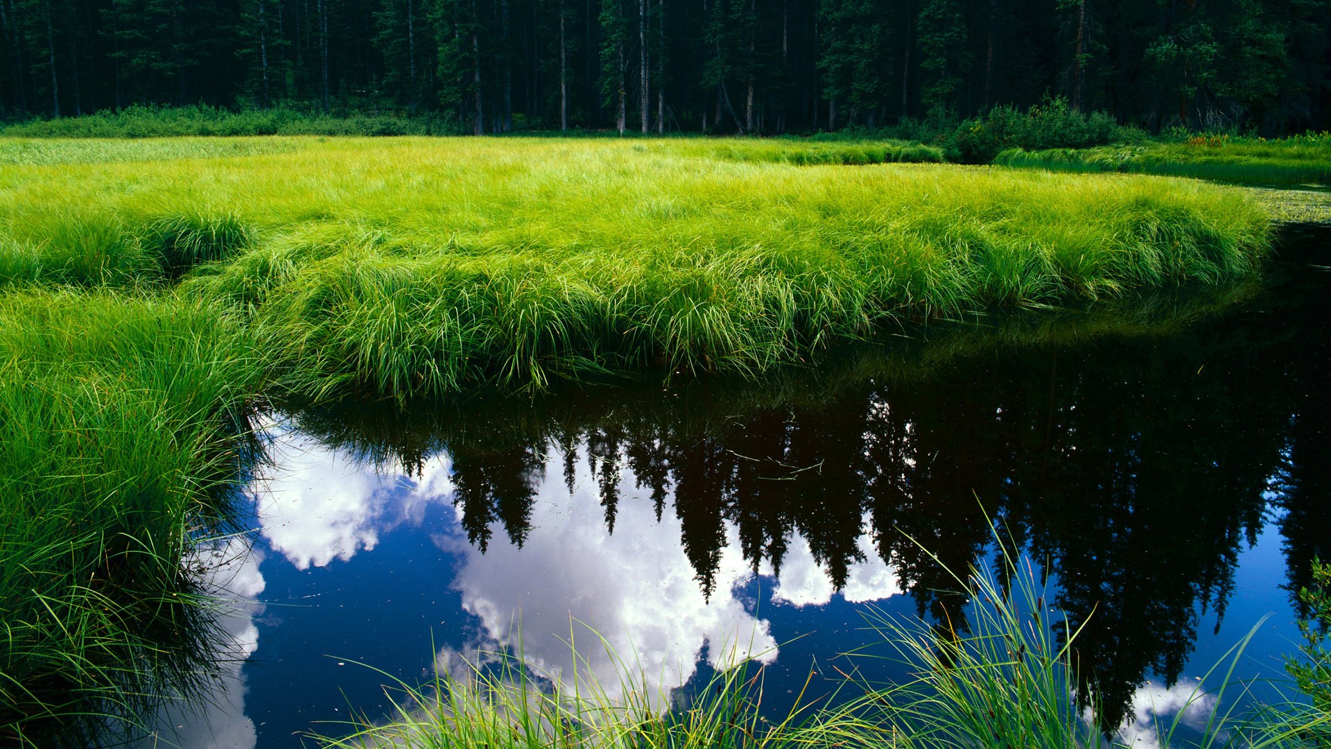 开云·体育官网APP下载-Dota 2 赛季末战队积分紧咬竞争激烈，dota2战队rank