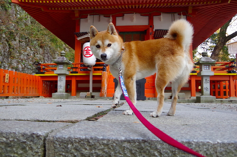 开云官方网站-DOTA2创意工坊大赛：玩家自制地图，谁的创意最惊艳？，dota2创意工坊地图皮肤